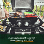Tragbarer Gasgrill Wayne mit 2 Brennern, 4,4 kW, Aludruckguss, Gusseisenrosten und Abdeckhaube