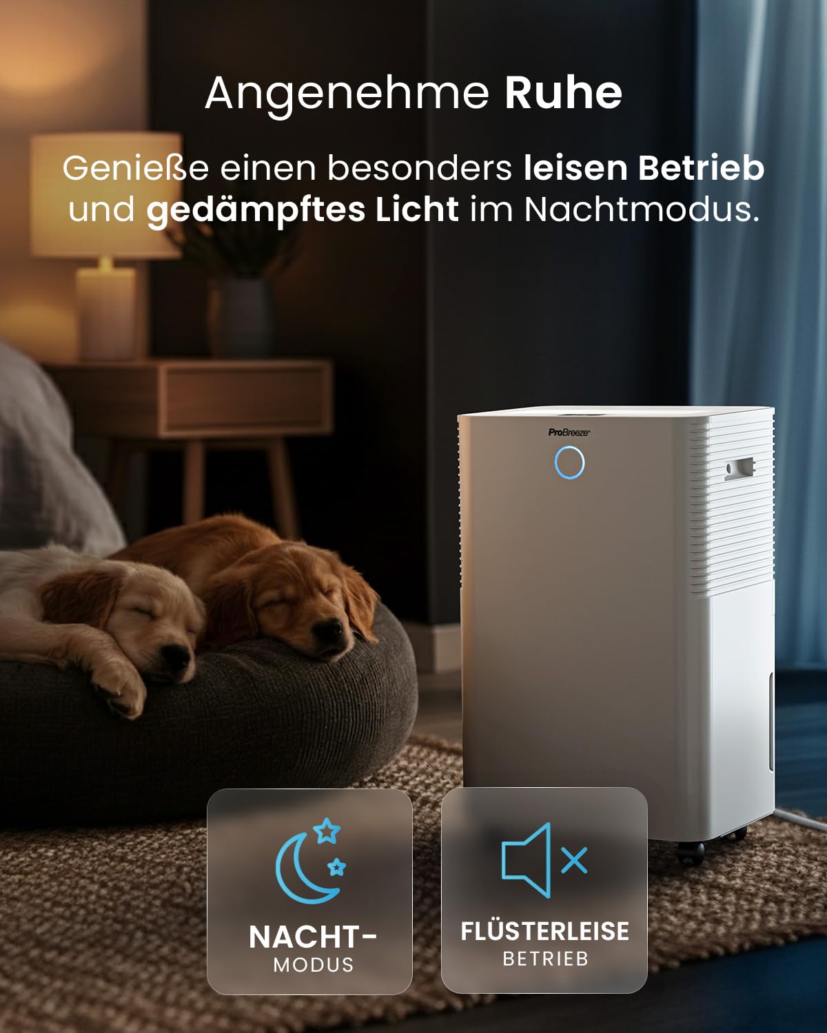 Luftentfeuchter mit WLAN & App, 20 L in 24 h, Wäschemodus, Feuchtigkeitssensor und 4 L Tank, Modell PB-D-24-WF