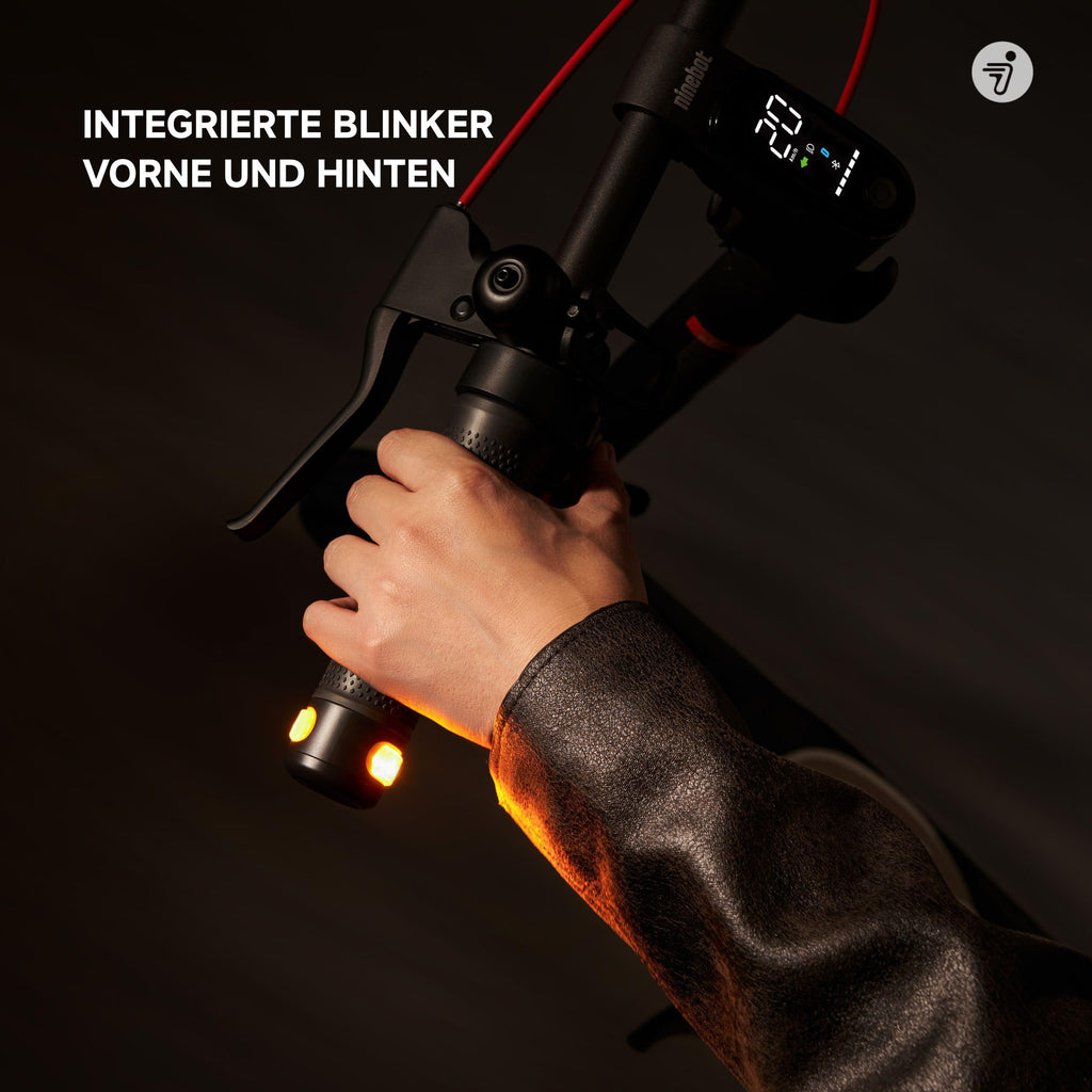 E-Scooter F2 Pro D II mit Straßenzulassung, bis zu 65 km Reichweite, 120 kg Tragfähigkeit und vorderer Doppelfederung, schwarz