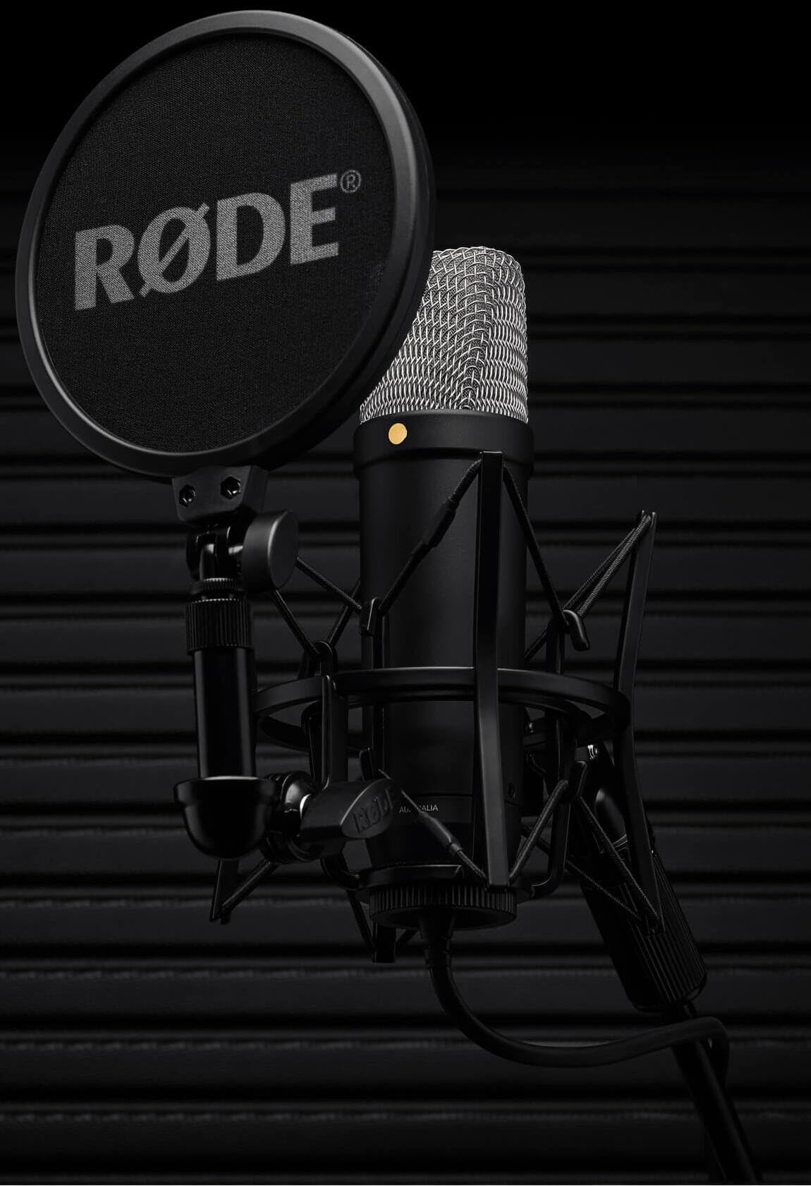 Großmembran-Kondensatormikrofon NT1 5. Generation mit XLR- und USB-Ausgang, inkl. Spinne, Popfilter und XLR-Kabel