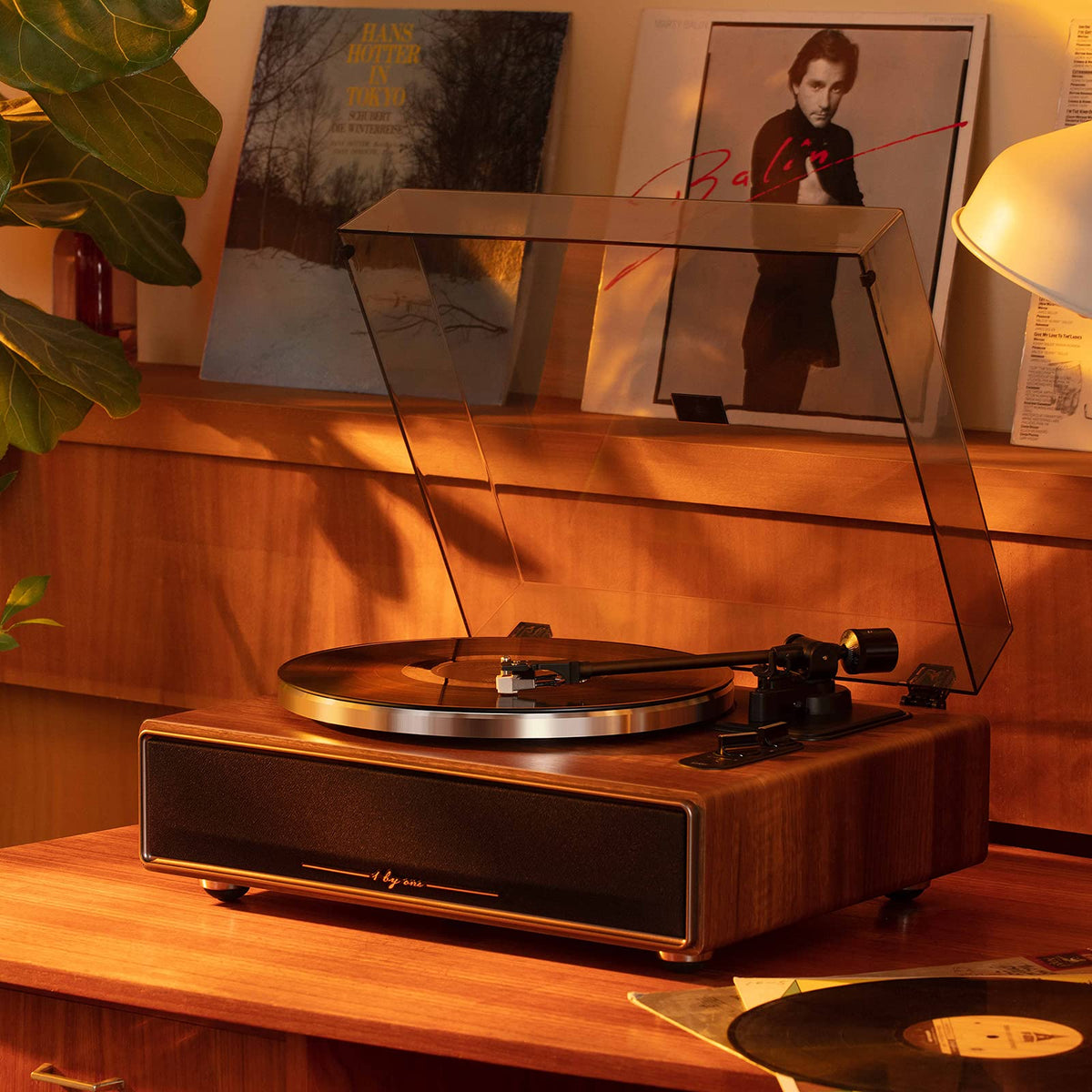Plattenspieler mit integrierten Lautsprechern und Bluetooth, 33/45 RPM, Phono-Vorverstärker, Nussbaum