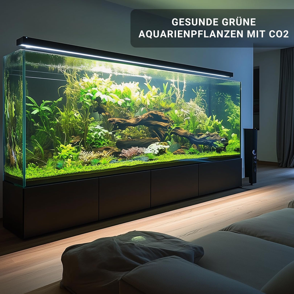 CO2 Anlage Aquarium Komplettset mit 425 g CO2 Flasche Druckminderer Diffusor Dauertest für Aquarien 20 bis 1000 L