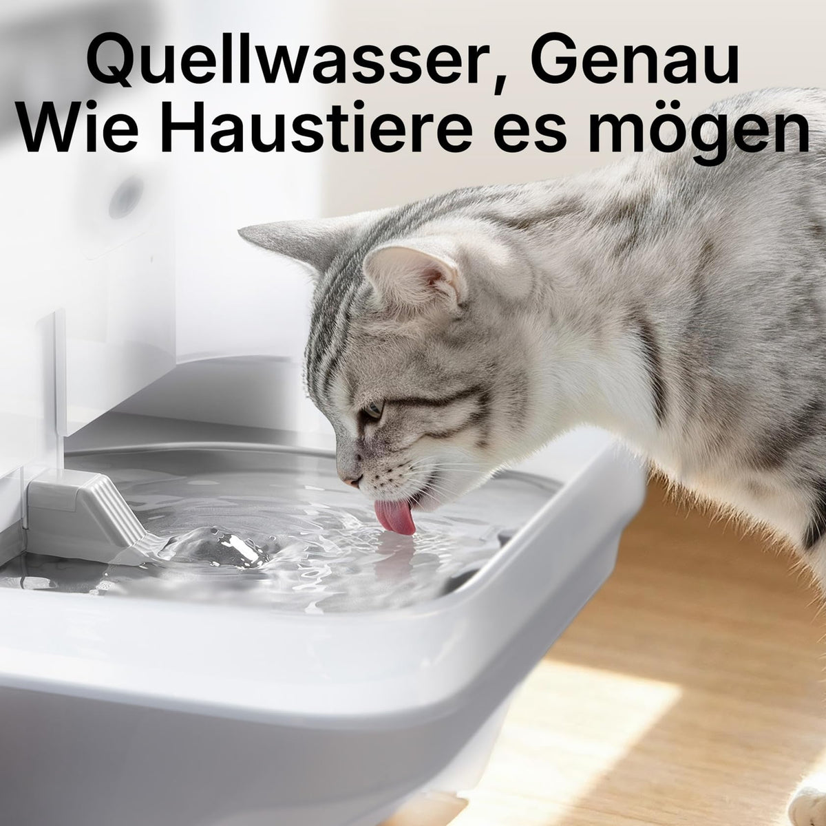 Katzen Trinkbrunnen EverSweet Ultra 5 L mit KI-Kamera Frisch- und Abwassertrennung App-Steuerung 2,4 und 5 GHz WLAN