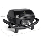 Tragbarer Gasgrill Wayne mit 2 Brennern, 4,4 kW, Aludruckguss, Gusseisenrosten und Abdeckhaube