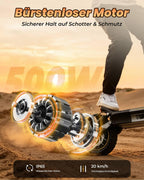 E-Scooter mit Straßenzulassung V5 Pro, 10 Zoll Elektroroller mit 500W Motor, 48V 12,5 Ah Akku und bis zu 70 km Reichweite, duales Bremssystem für