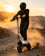 E-Scooter mit Straßenzulassung V5 Pro, 10 Zoll Elektroroller mit 500W Motor, 48V 12,5 Ah Akku und bis zu 70 km Reichweite, duales Bremssystem für