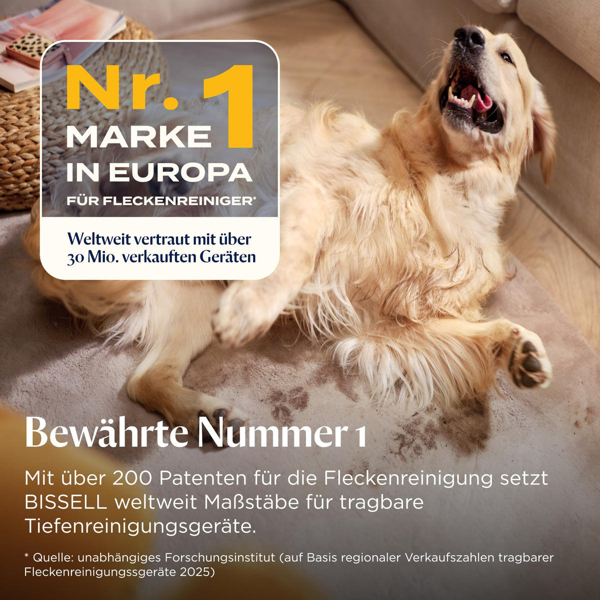 SpotClean ProHeat Advanced Teppichreiniger 1125 W mit 59 °C ProHeat-Technologie, 16.000 Pa Saugkraft und Doppelbehälter 0,9 l/0,8 l